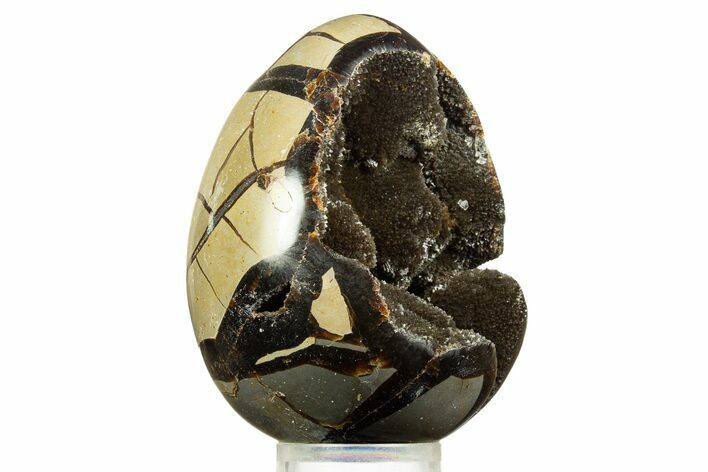 Septarian Dragon Egg Geode - Sparkly Black Crystals #344441